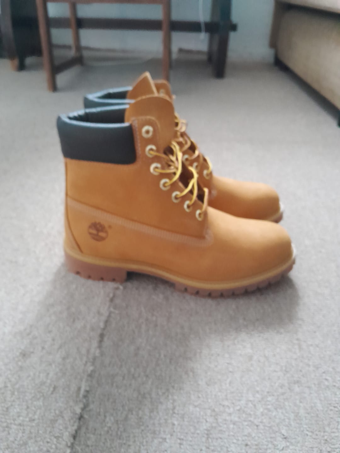 Customer photo review of Botas Timberland Premium 6 Inch Waterproof Beige
