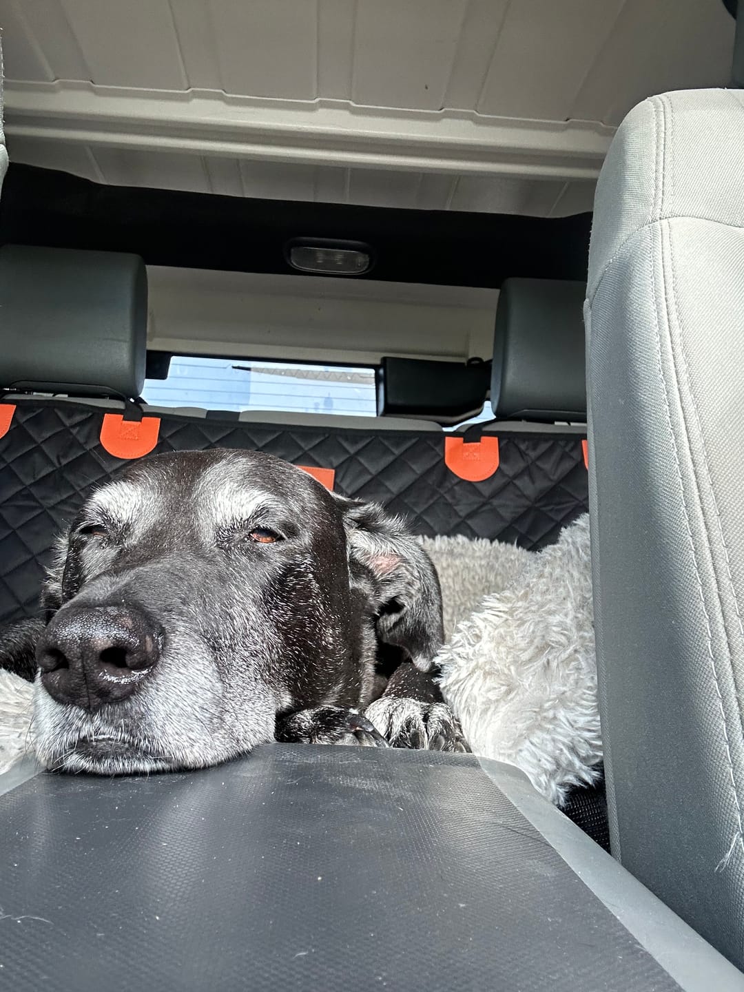Customer photo review of CozyRider™