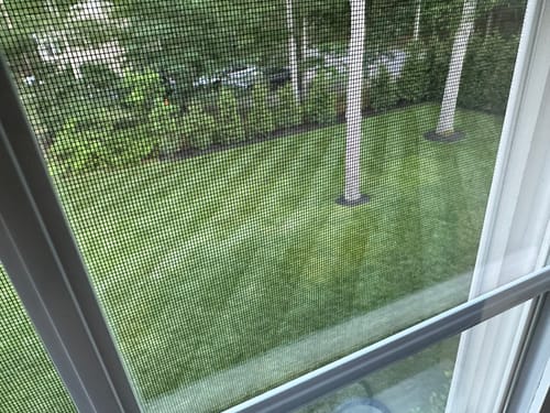 Customer photo review of OII-YS Natural Adjuvant