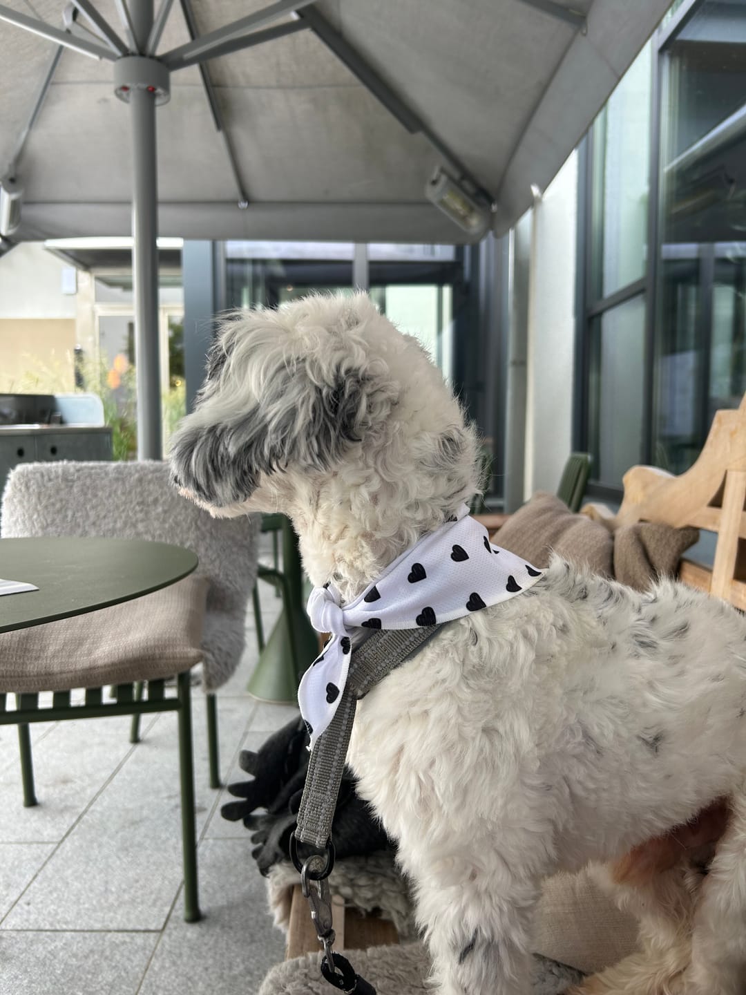 Customer photo review of Bandana - Everglow