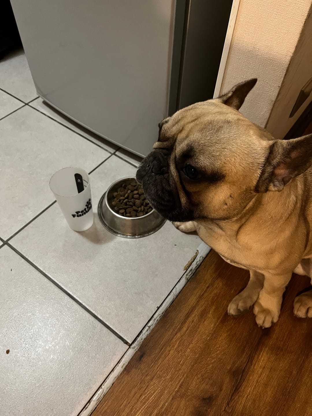 Customer photo review of Vaso Medidor PetFamily