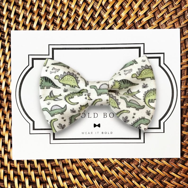 Customer photo review of Green Dinosaur Bow Tie for Dog and Cat Collar