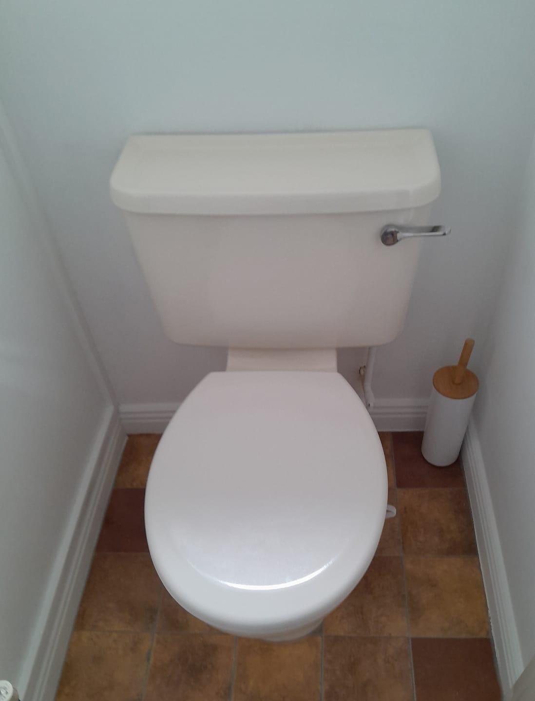 Customer photo review of Toilet Seat - Rainbow Soft - Cream