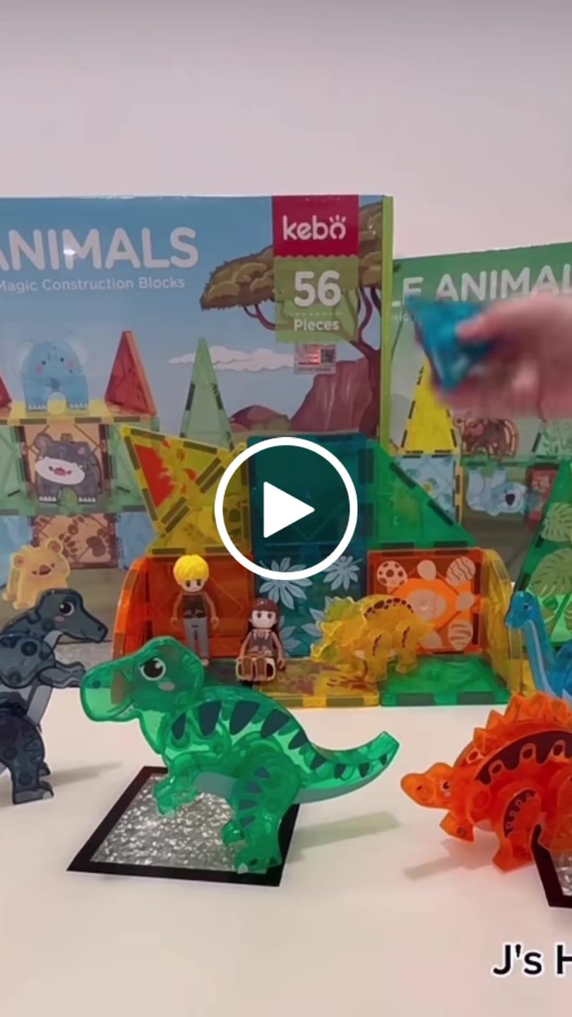 Customer video review of Dinosaur Magnetic Tiles