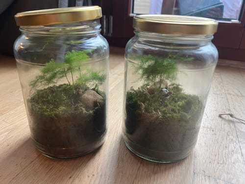 Customer photo review of Flaschengarten-Kindergeburtstags-Set