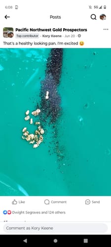 Customer photo review of Nugget Reserve 'MUSEUM SPECIMEN CHASE' - Gold Panning Paydirt Concentrate
