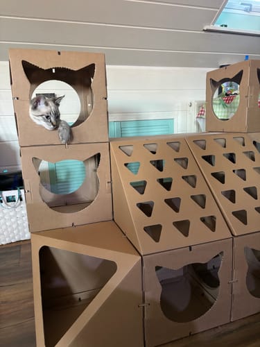 Customer photo review of Katzenhaus Royal Castle - braun