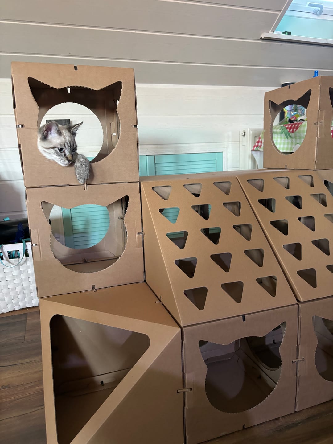 Customer photo review of Katzenhaus Royal Castle - braun