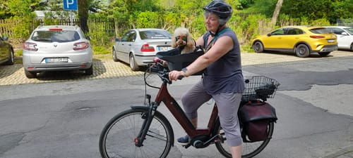 Customer photo review of Kvisp Dog Bike Carrier