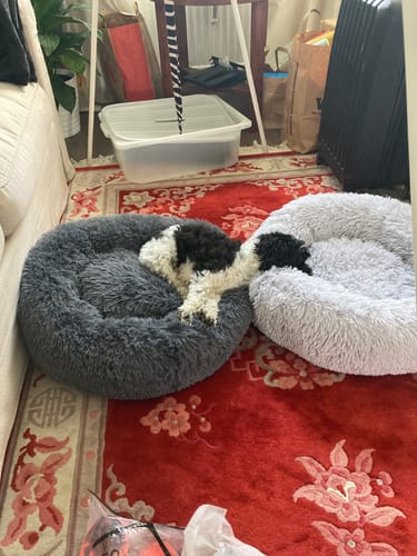 Customer photo review of CalmBed överdrag