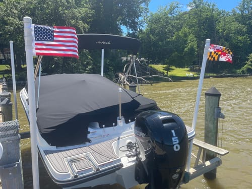 Customer photo review of Maryland Flag