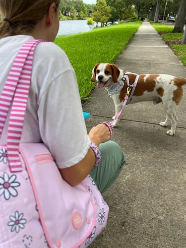 Customer photo review of Disney© Lead - Piglet