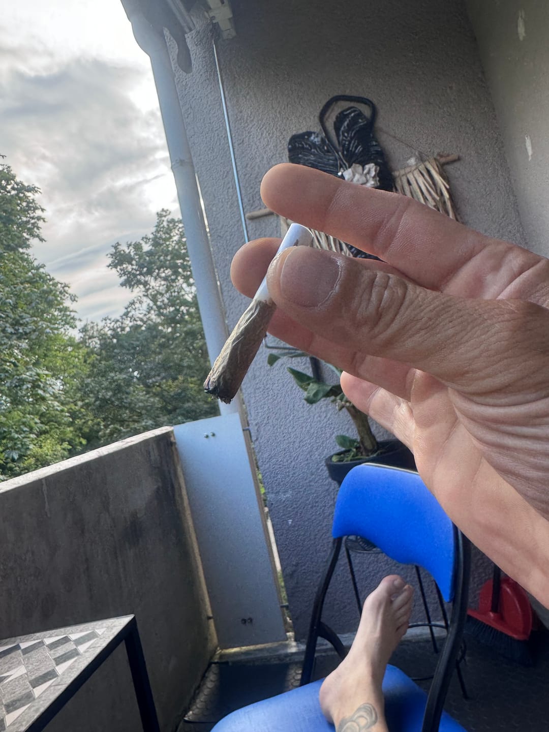 Customer photo review of CBD Blüten Jack Herer 040