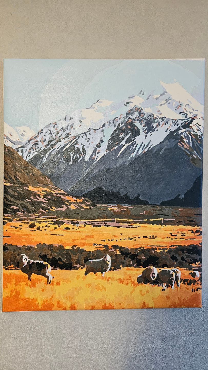 Customer photo review of High Country Merinos
