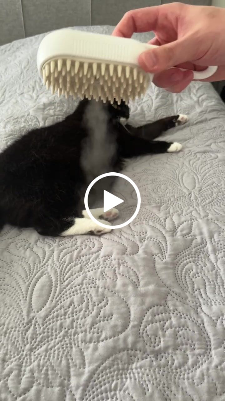 Customer video review of CLOUD CARE BRUSH