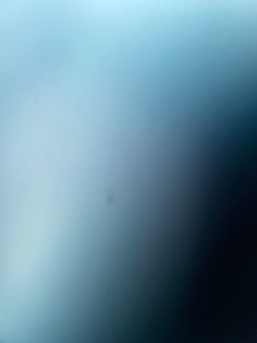 Customer photo review of BUG B' GONE