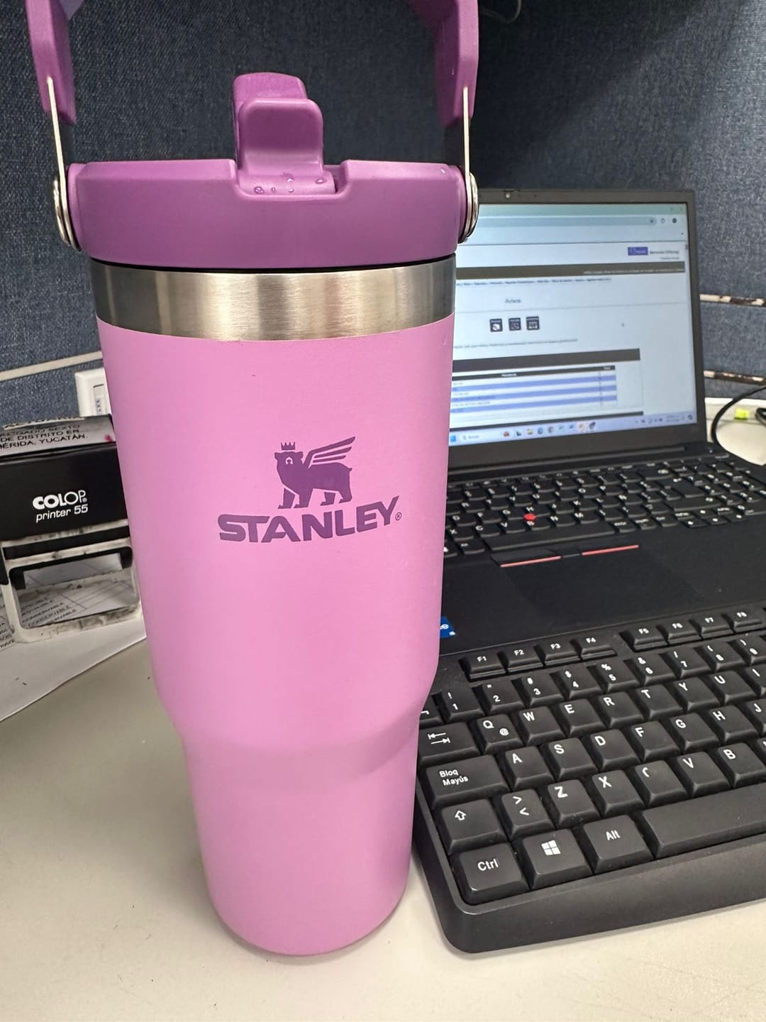 Customer photo review of Stanley IceFlow™ Flip Straw 887ml