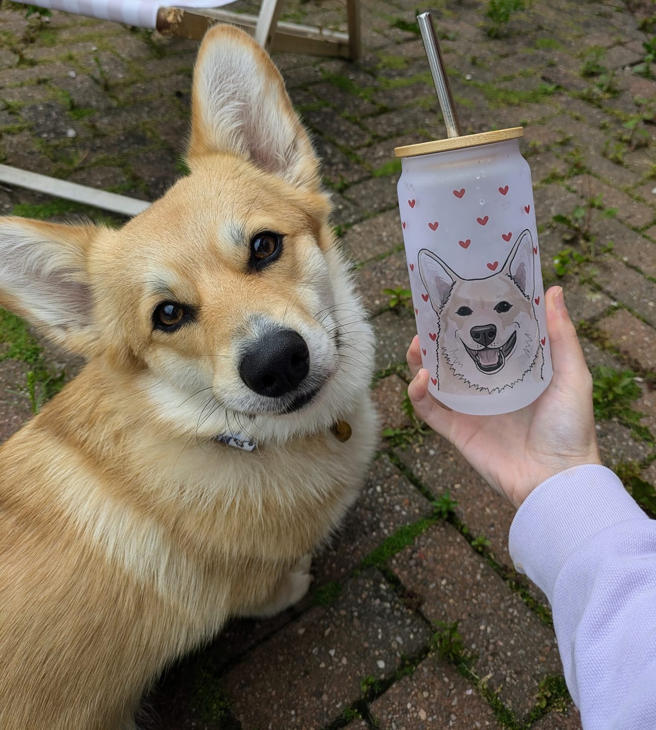 Customer photo review of Dainty Heart Dog Mum Ice cup