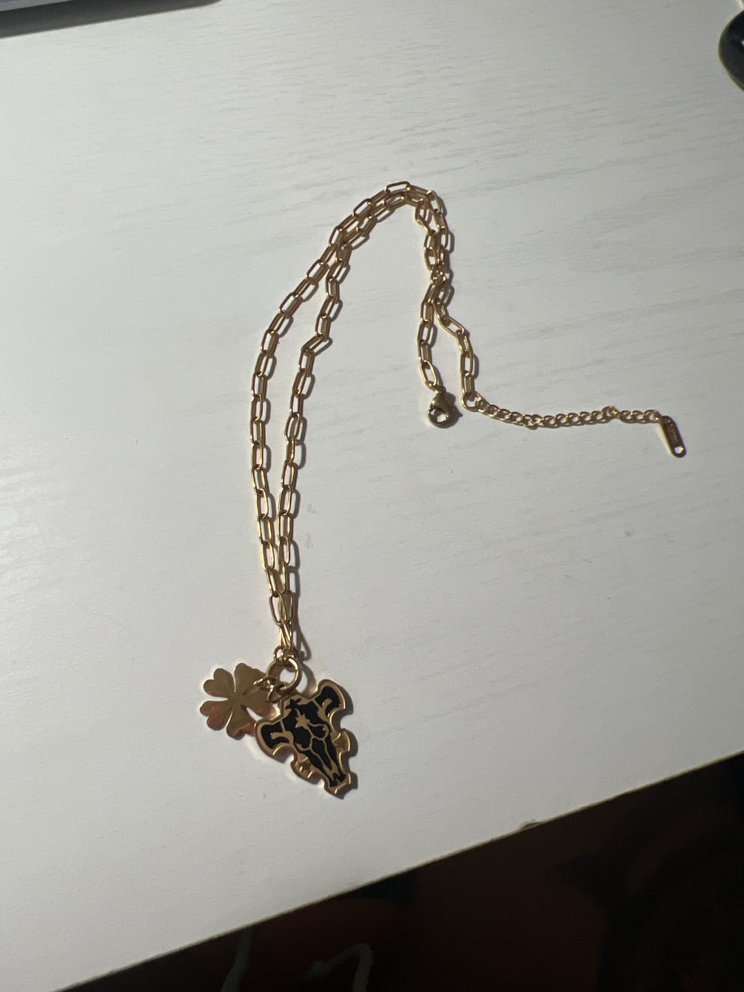 Customer photo review of Black Bulls Charm