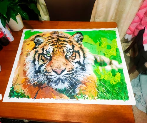 Customer photo review of Animal Tiger Diy Paint By Numbers Kits ZXQ3469