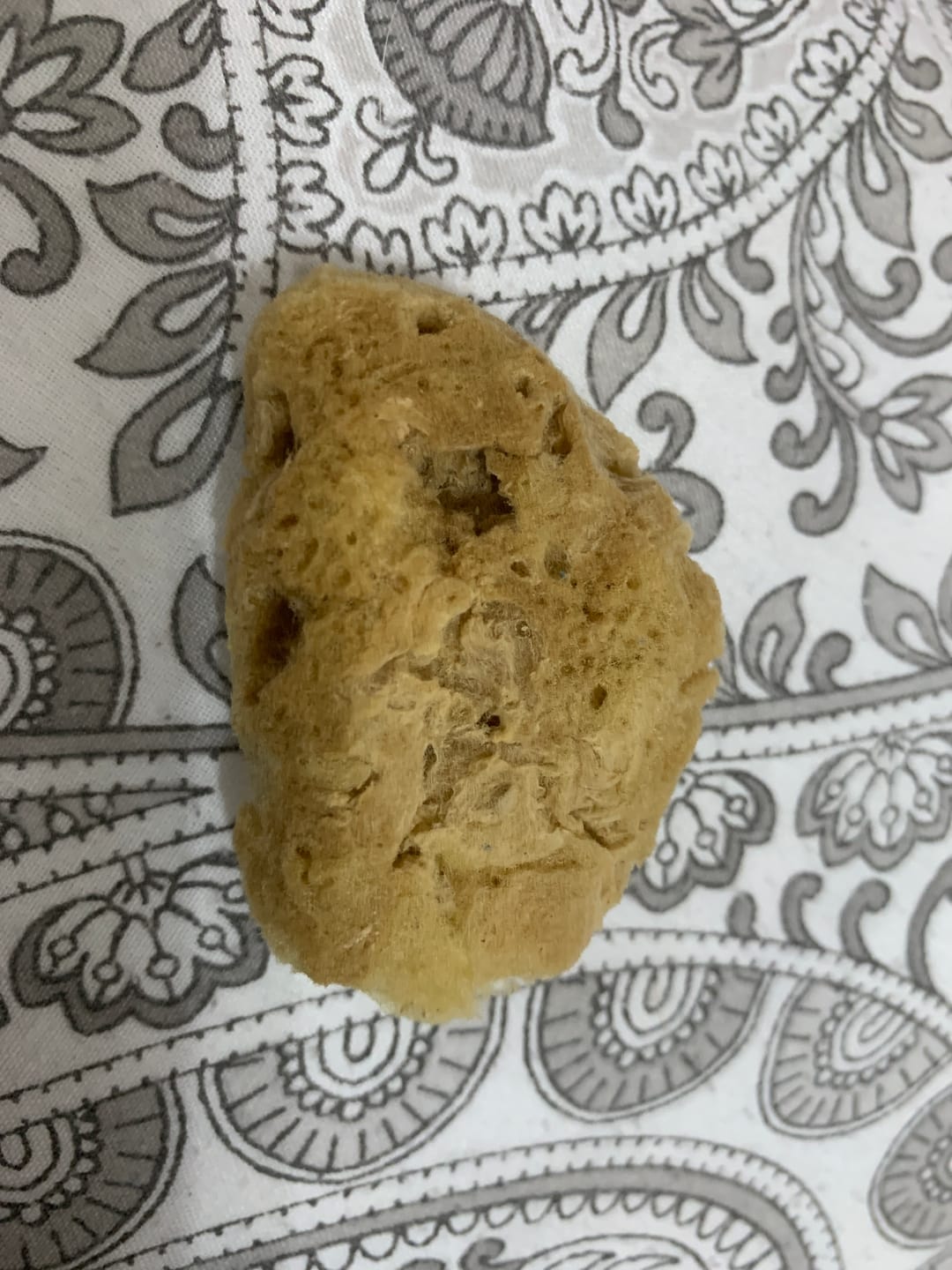 Customer photo review of Face Care Natural Sea Sponges