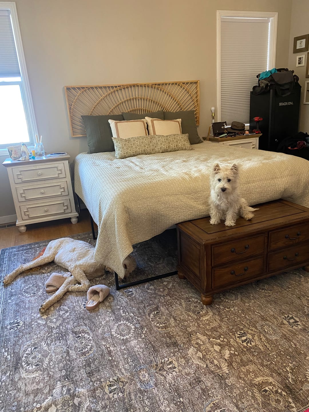 Customer photo review of Gracie in Green - Lumbar - 12x20" | 12x40"