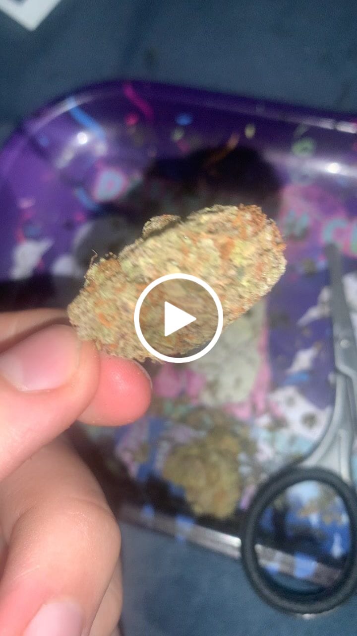 Customer video review of Jealousy - THCa Flower