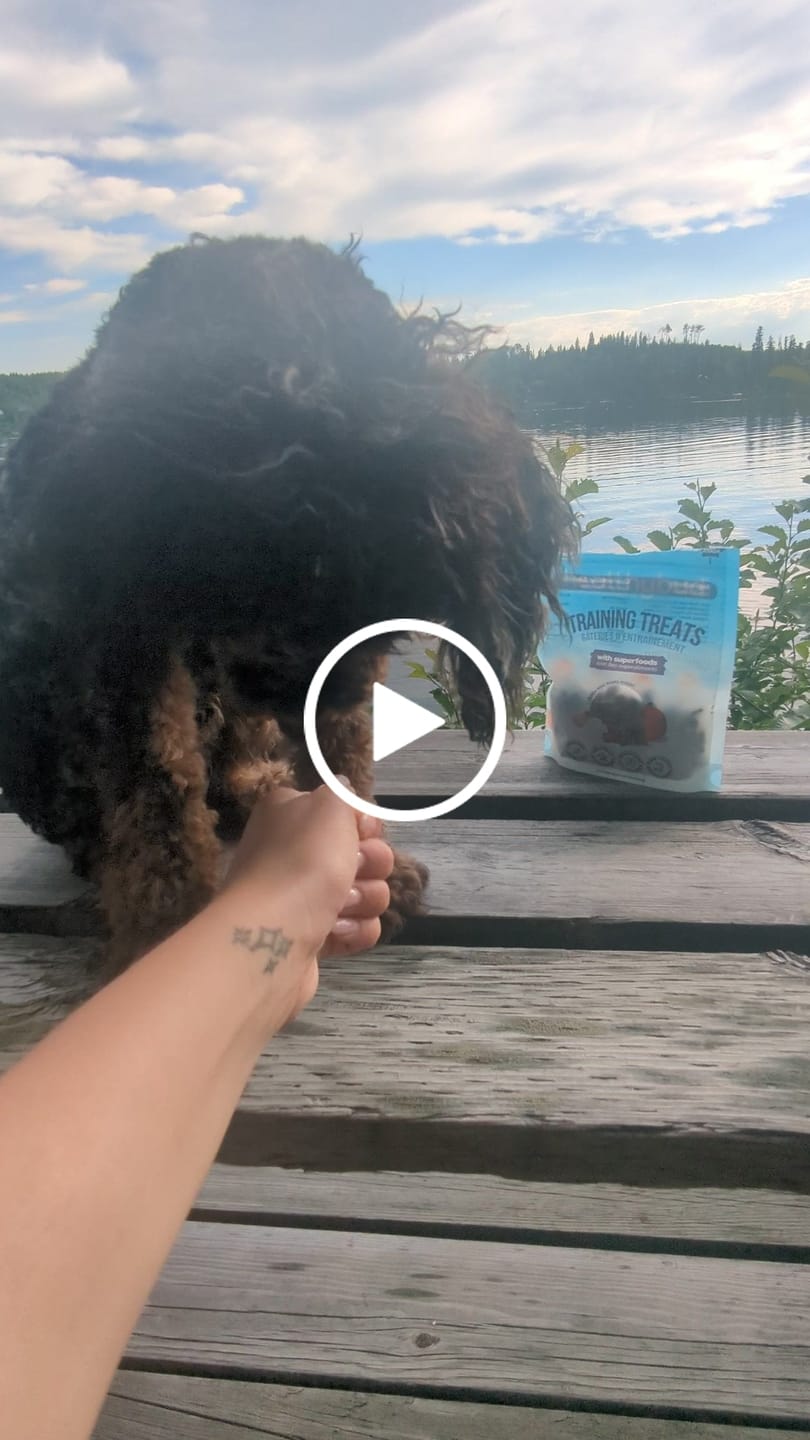 Customer video review of Beef Mini Training Treats