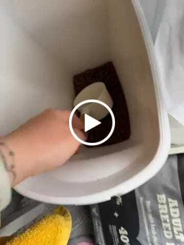 Customer video review of Acana Small Breed Dog Food