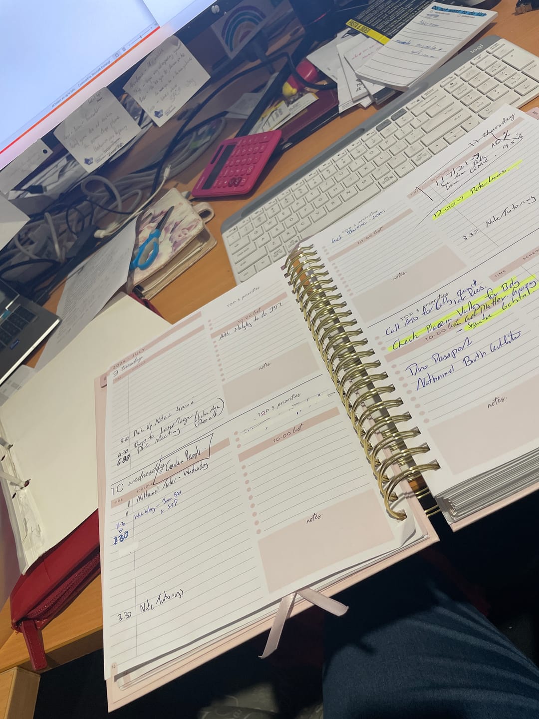Customer photo review of 2024/25 Financial Year Business Planner - BLUSH