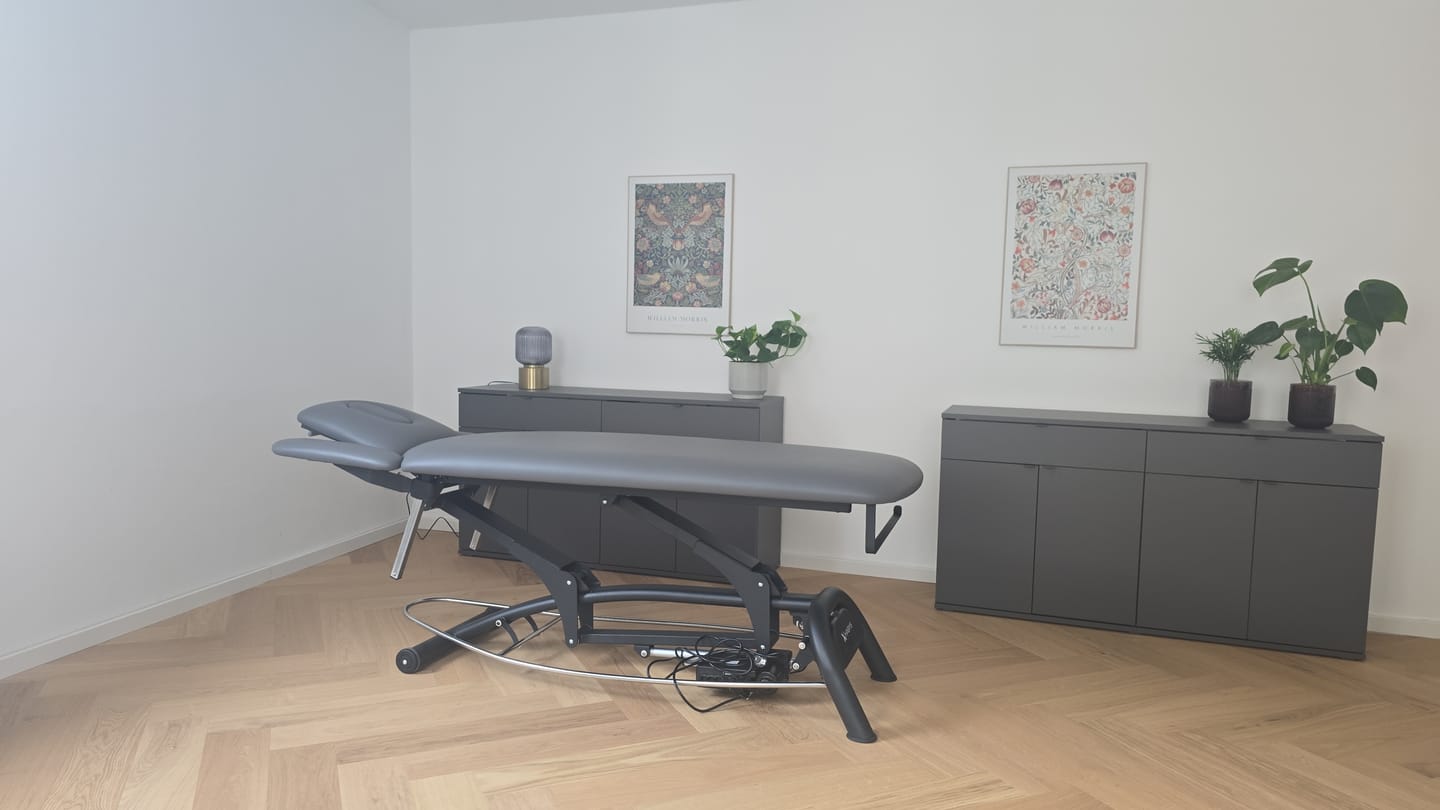 Customer photo review of Massageliege Elektrisch Agila 4 4-Segmente