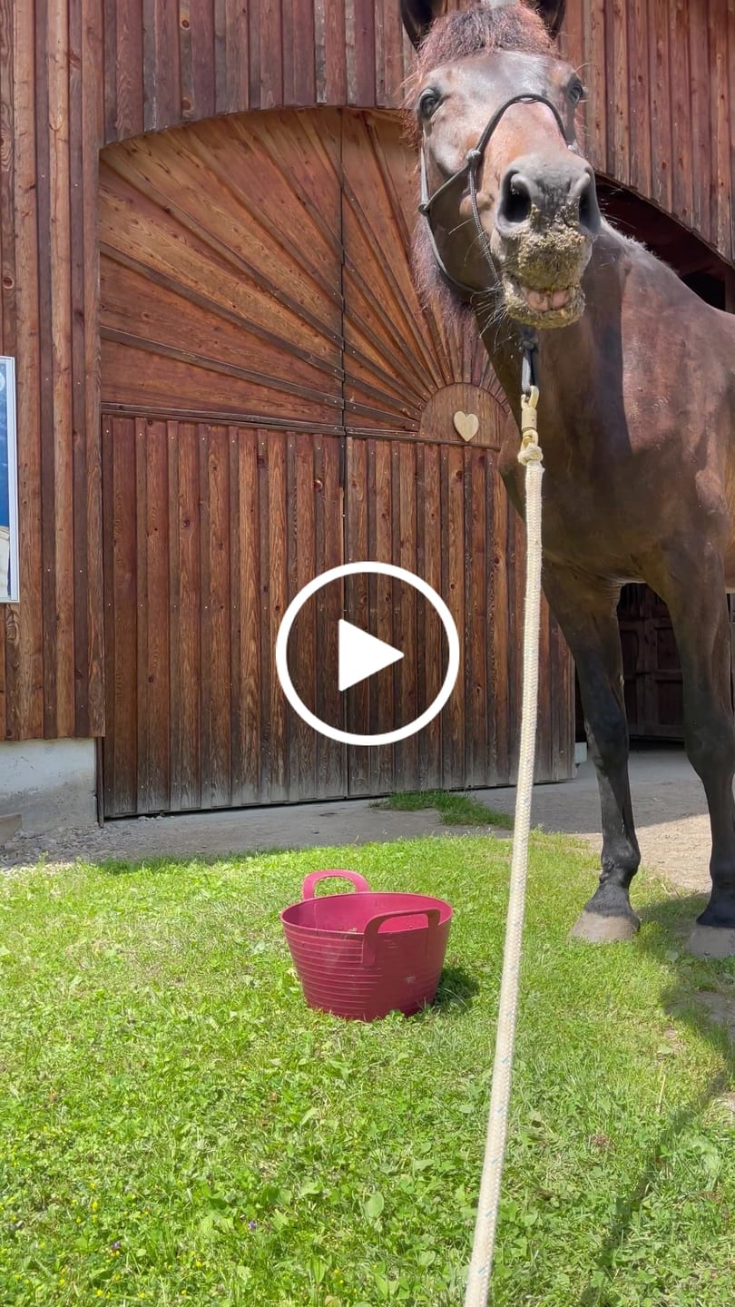 Customer video review of Kristallkraft TheMineral