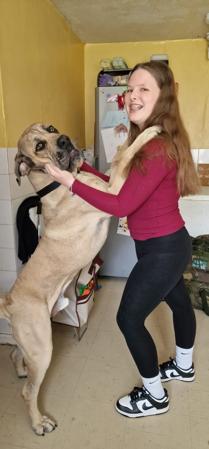 Customer photo review of Total Joint Care Supplement For Dogs