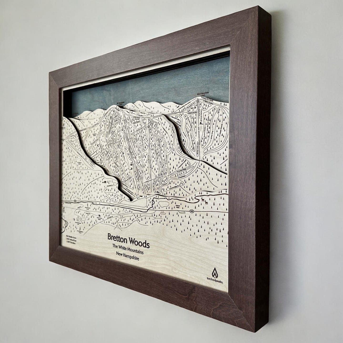 Customer photo review of Bretton Woods, New Hampshire