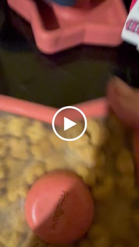 Customer video review of FreezStar - Long-Lasting Star Chew