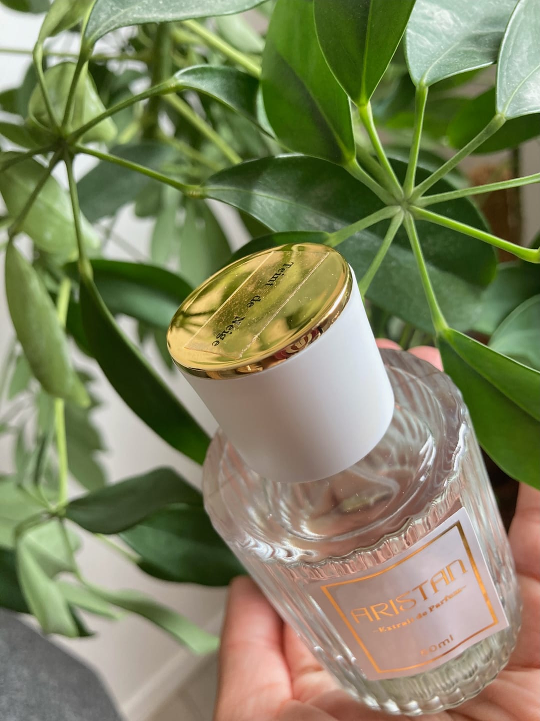 Customer photo review of Teint de Neige