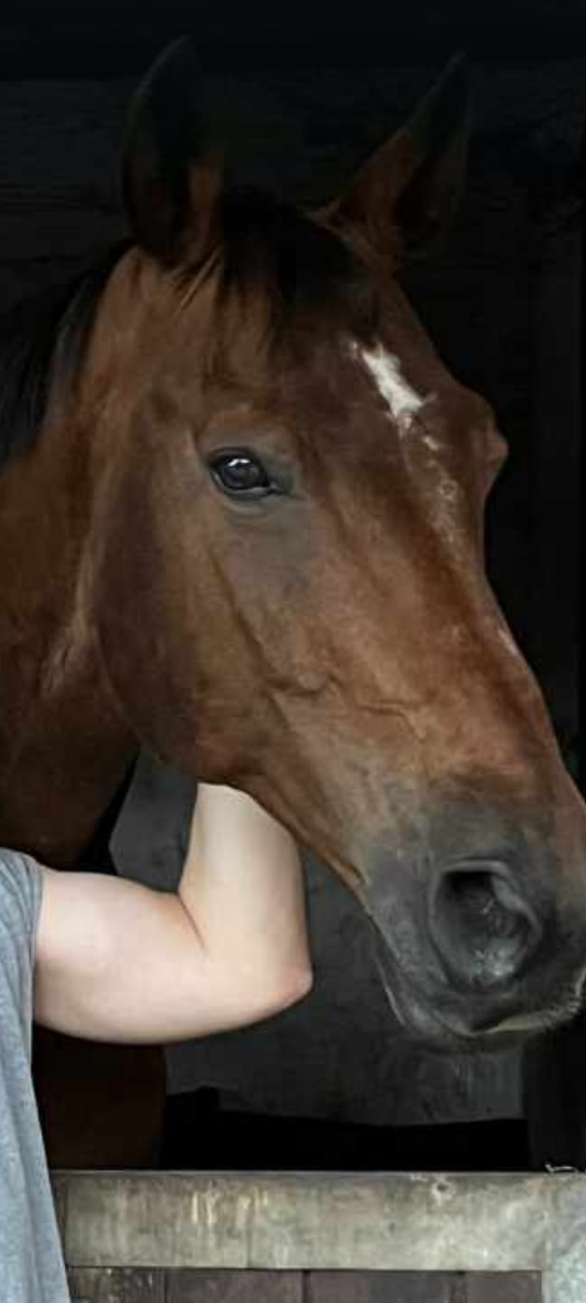 Customer photo review of Kristallkraft Bronchiale