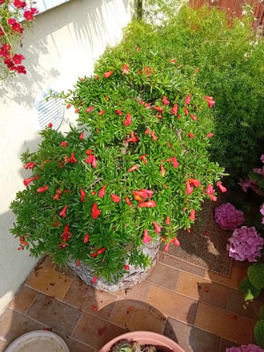 Customer photo review of TESTOSTERONE PACK CB®