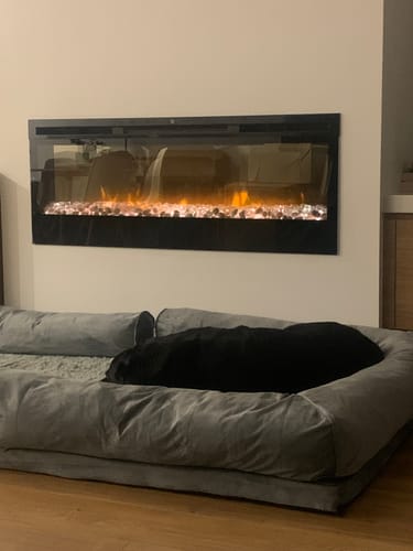 Customer photo review of PaWz Premium Pet Sofa Bed
