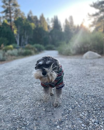 Customer photo review of Free & Easy Return or Exchange Coverage + Package Protection