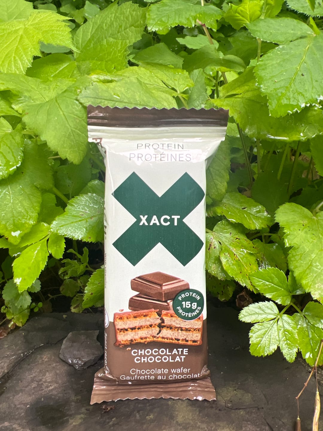 Customer photo review of XACT PROTEIN Wafer