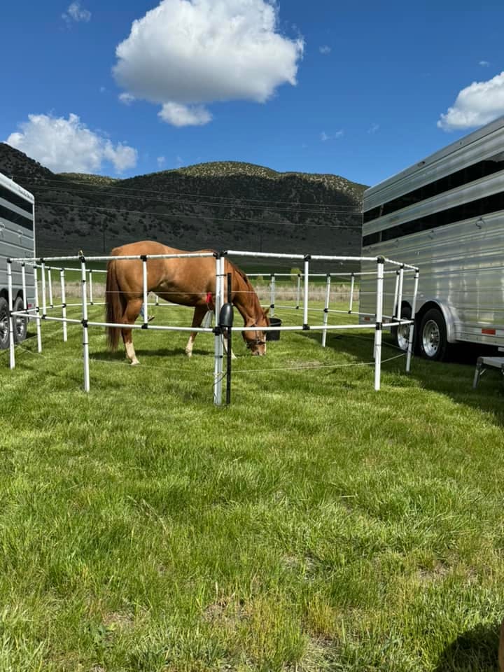 Customer photo review of Ready Made Portable Electric Horse Corral Fencing: (Electric EconoLine 12 Panels; 2 Rails)