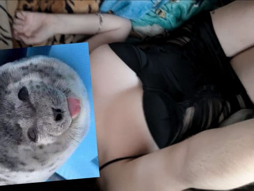 Customer photo review of See through dress S033