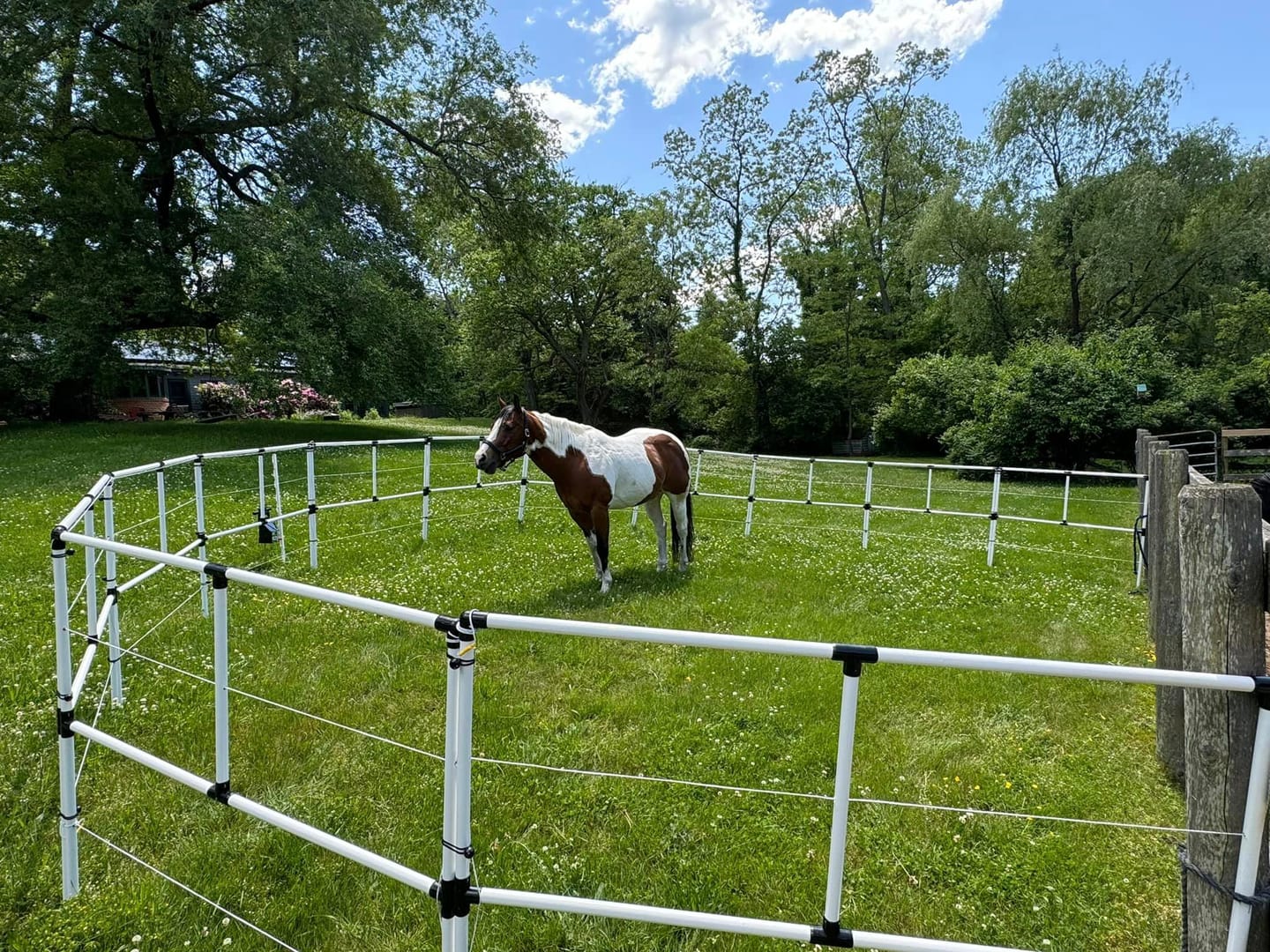 Customer photo review of Ready Made Portable Electric Horse Corral Fencing: (Electric EconoLine 12 Panels; 2 Rails)