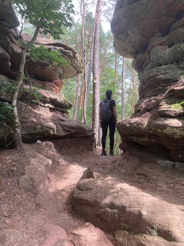 Customer photo review of Antelao Eco