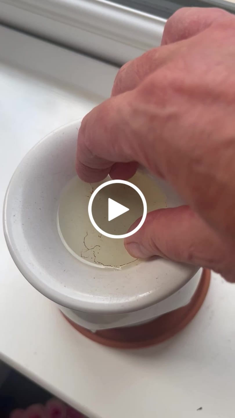 Customer video review of Coconut & Waterfall Blooms Gel Melt