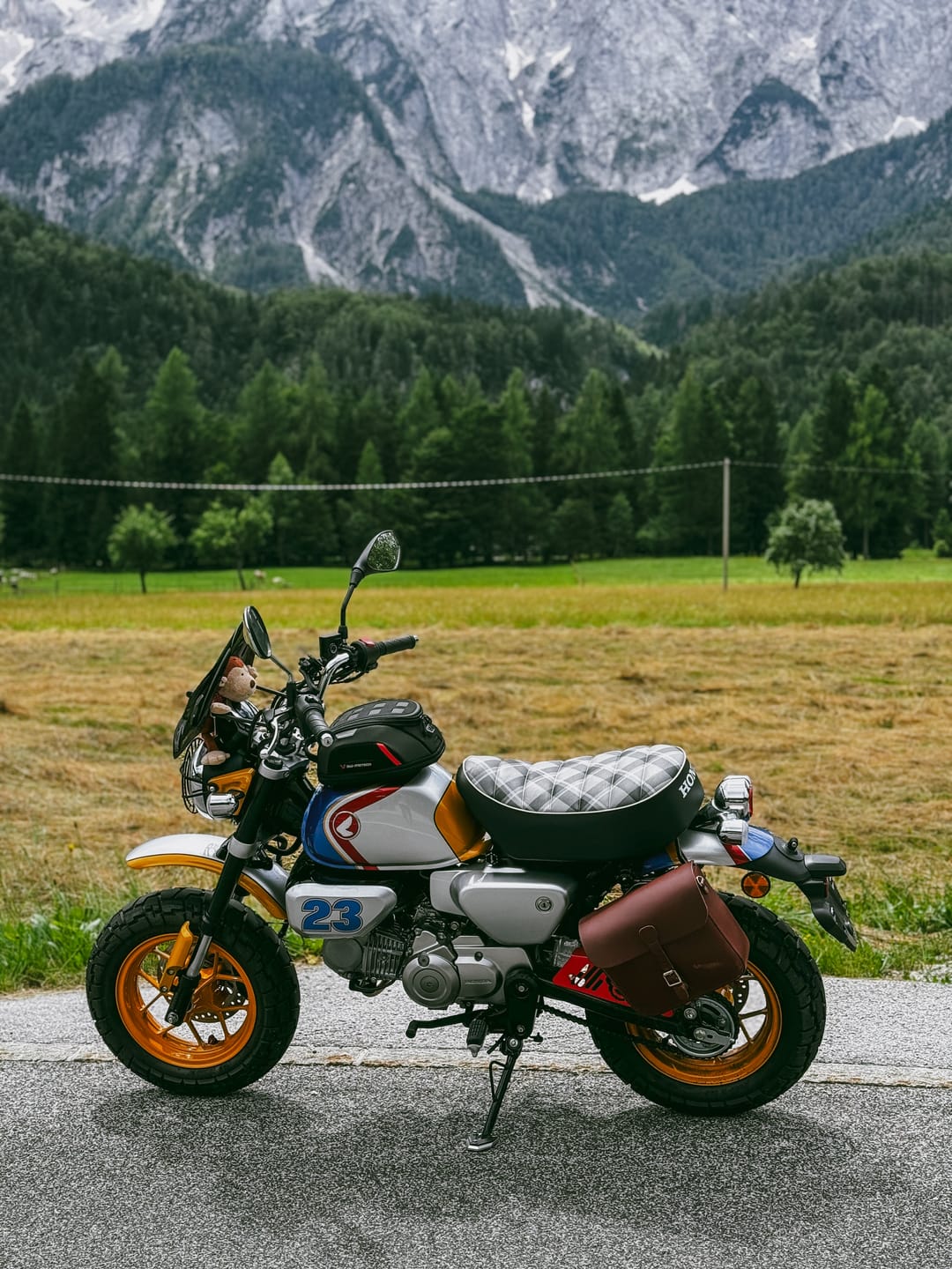 Customer photo review of classic pannier