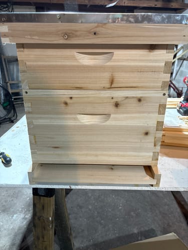 Customer photo review of BeeCastle Natural Hive 10 Frame 2 Layer Beehive Include 1 Deep Cedar Wood Box And 1 Cedar Wood Super Box With Wooden Frame And Beeswax Plastic Foundation