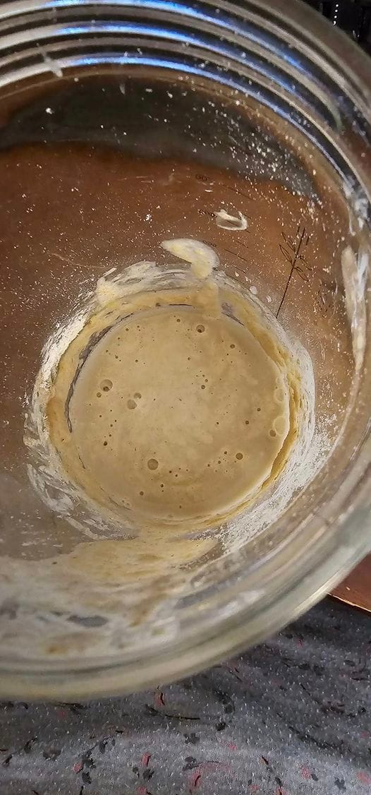 Customer photo review of Dehydrated Sourdough Starter Kit