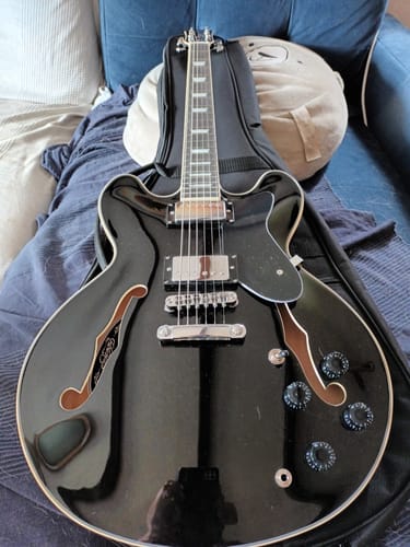 Customer photo review of Donner DJP-1000 Jazz-E-Gitarre
